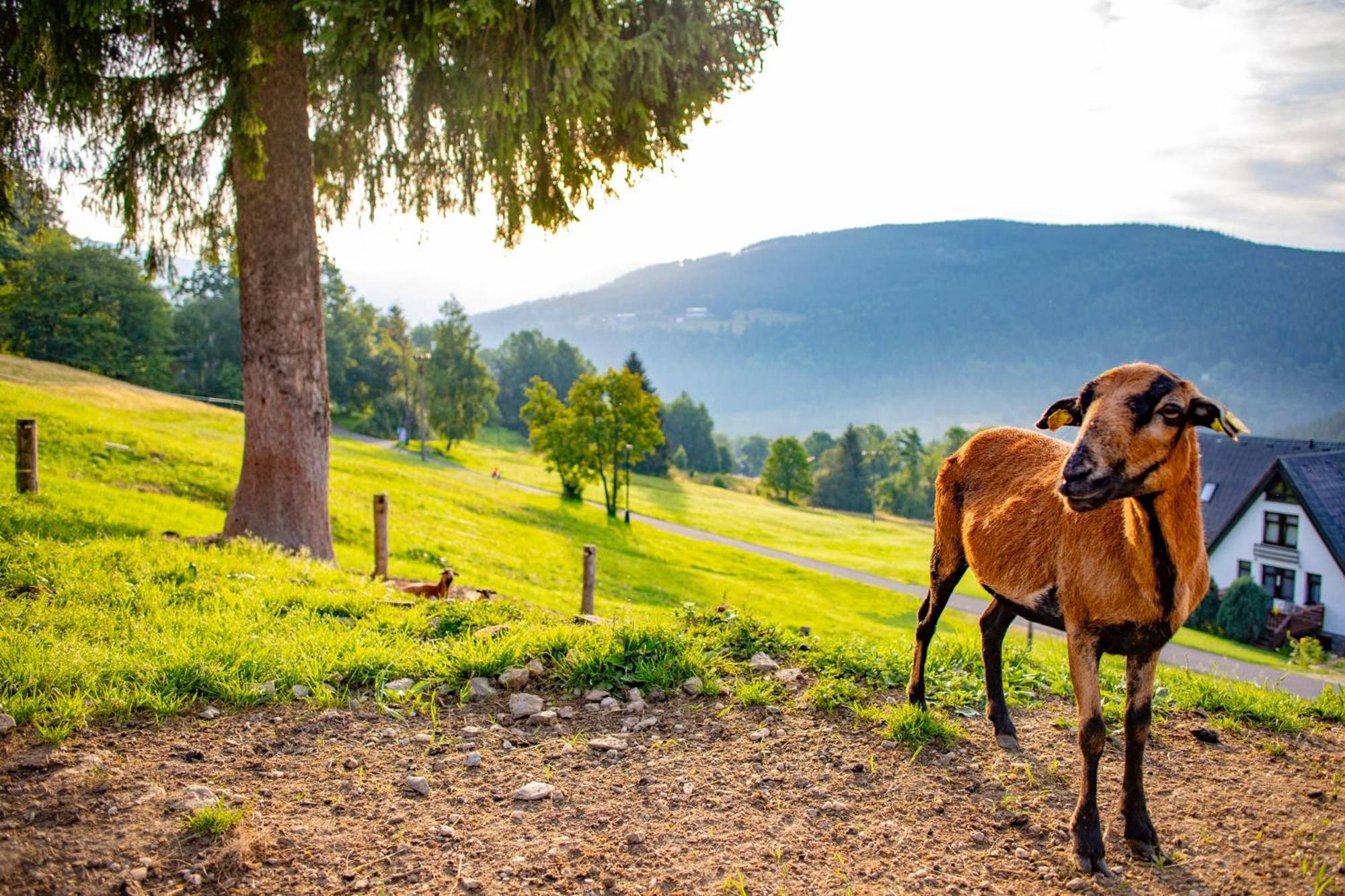 Amenity Hotel & Resort Špindlerŭv Mlýn Luaran gambar