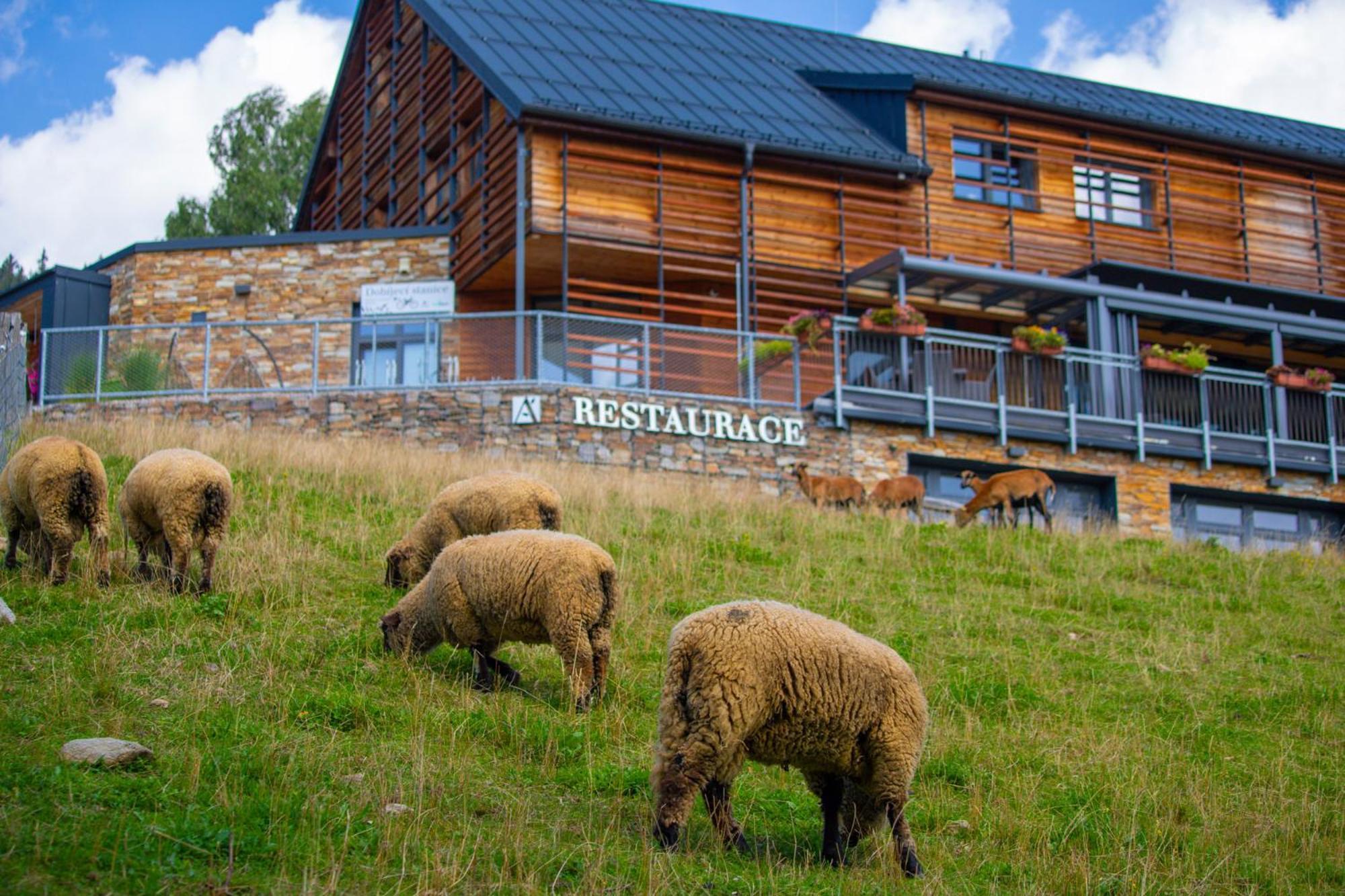 Amenity Hotel & Resort Špindlerŭv Mlýn Luaran gambar